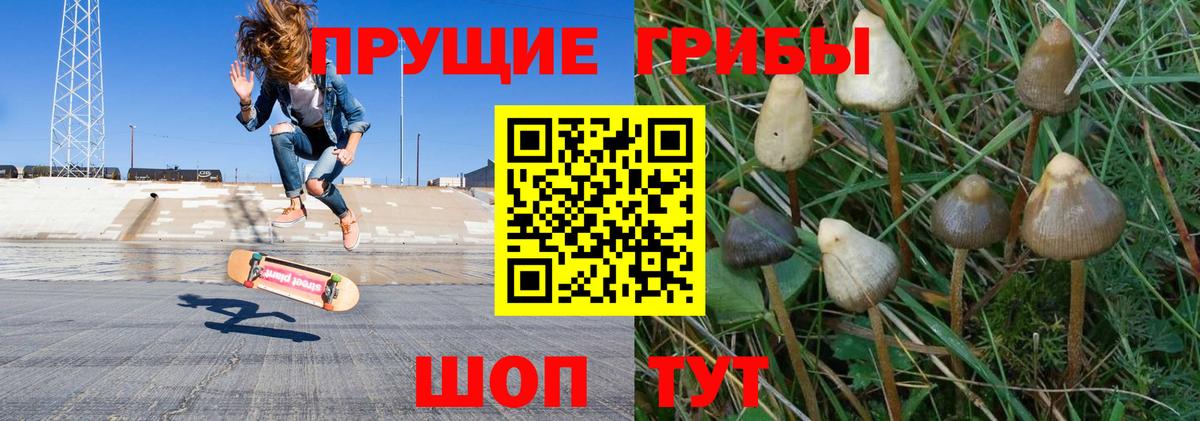 Галлюциногенные грибы мухоморы  Галлюциногенные грибы мицелий  Вход с VPN  Чапаевск 