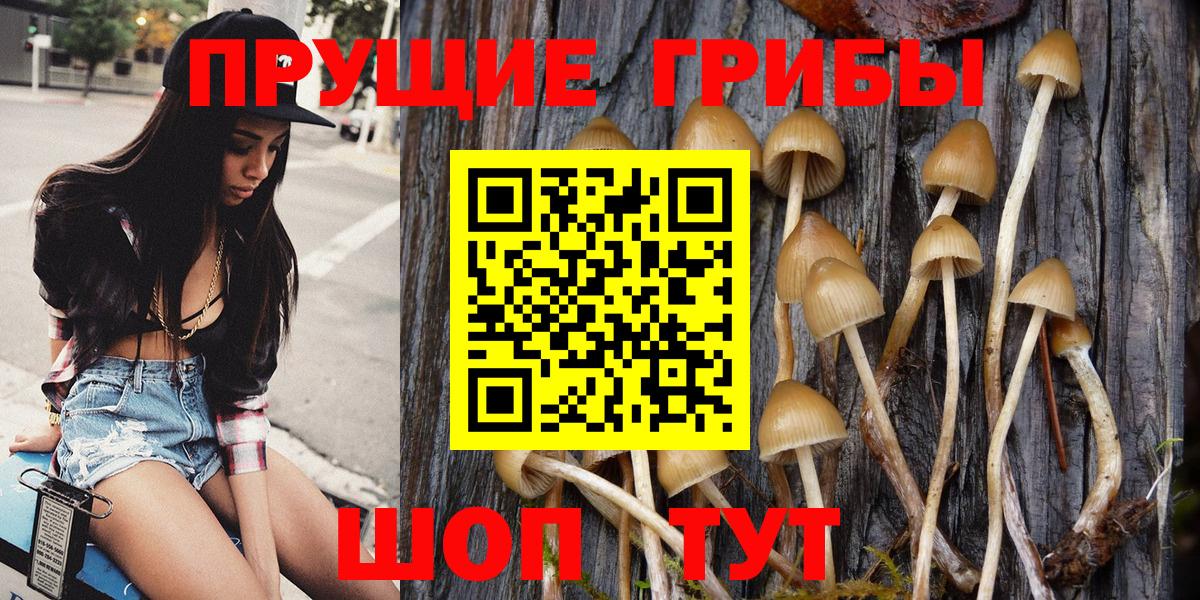 Псилоцибиновые грибы мухоморы Чапаевск